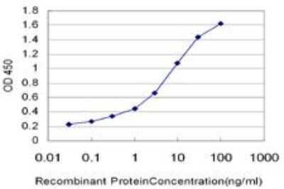 ELISA: p70 S6 Kinase beta/S6K2 Antibody (4B11) [H00006199-M08]