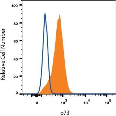 Flow Cytometry: p73 Antibody (5B429) - Azide Free [NBP2-33259]