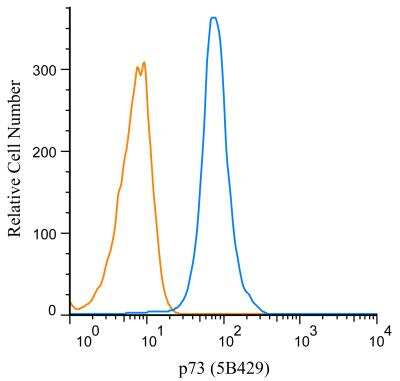 Flow (Intracellular): p73 Antibody (5B429) - BSA Free [NBP2-24737]
