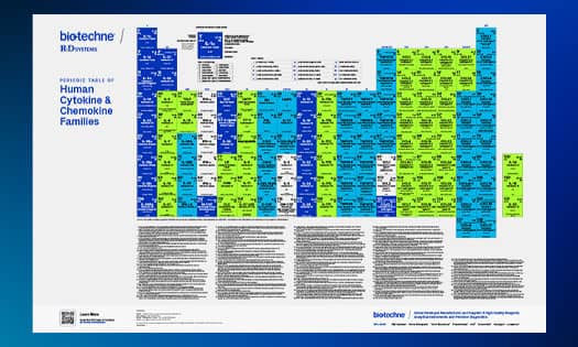 R&D Systems Periodic Table of Cytokine and Chemokine Families poster