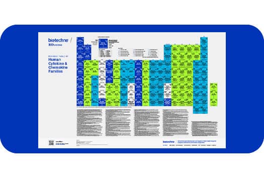 R&D Systems Periodic Table of Cytokine and Chemokine Families poster