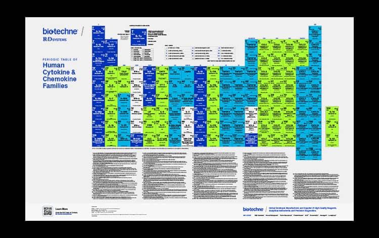 R&D Systems Cytokines Periodic Table Poster showing cytokines used for immune cell culture