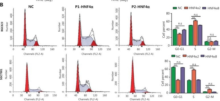 Detection of fbr9nfbuet5uiwgohdtn.jpg by Flow Cytometry
