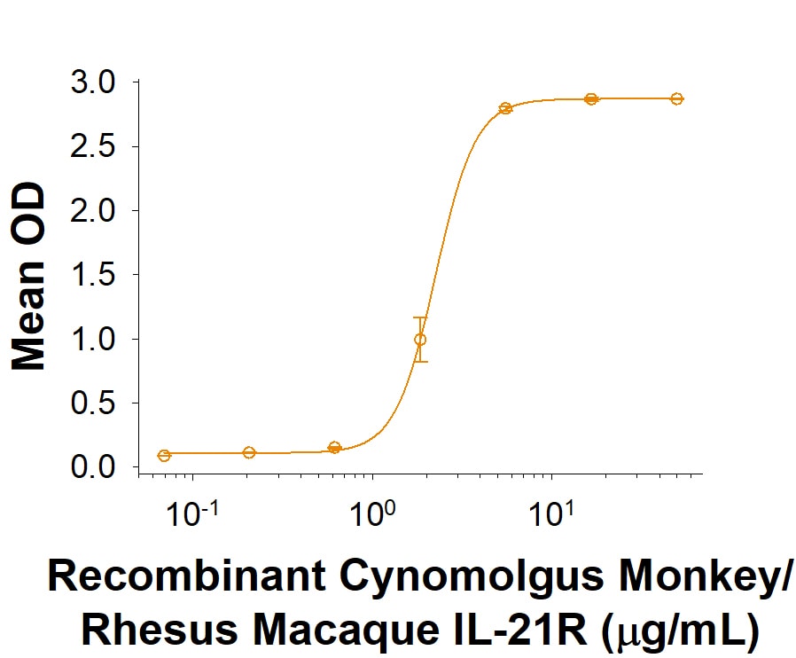 Recombinant Cynomolgus/Rhesus IL-21R Fc Chimera Protein Binding Activity