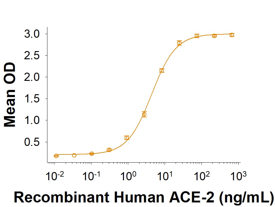 Recombinant SARS-CoV-2 Spike RBD Fc Chimera Protein Binding Activity