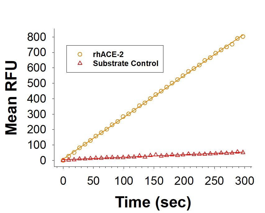 Recombinant Human ACE-2 Fc Chimera Protein Enzyme Activity