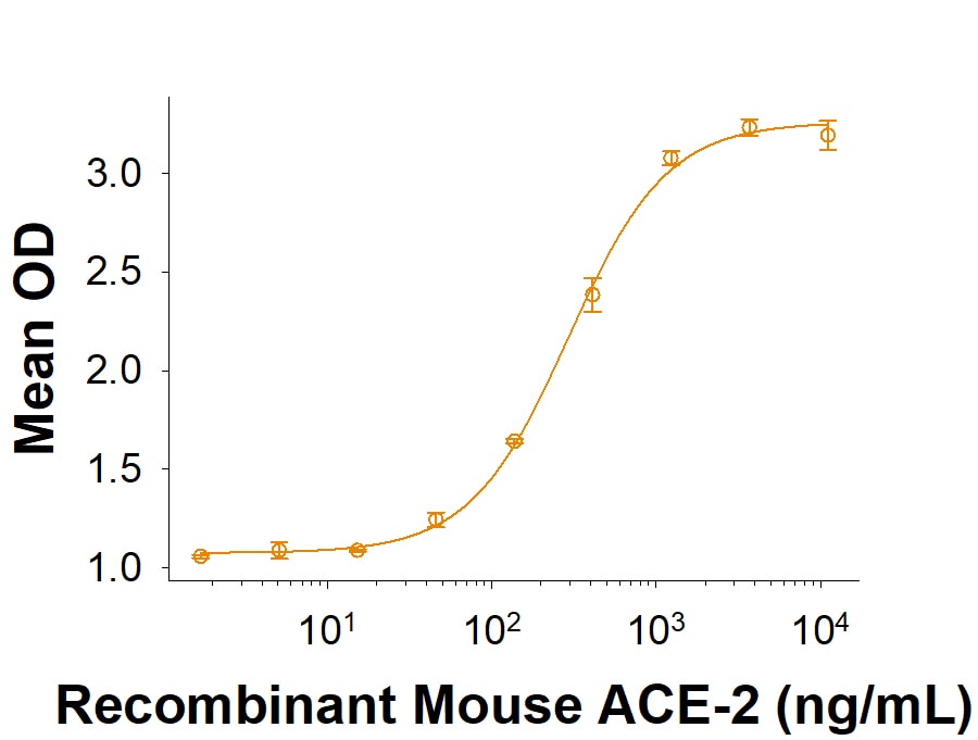 Recombinant BatCoV RaTG13 Spike RBD Fc Chimera Protein Binding Activity