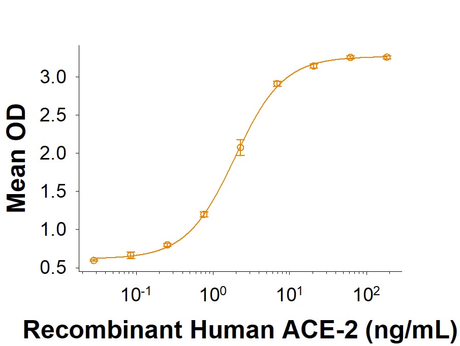 Recombinant SARS-CoV-2 D614G Spike, His-tag Protein CF Bioactivity