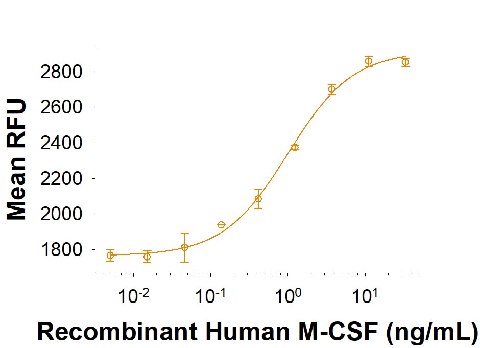 Recombinant Human M-CSF (CHO-expressed) Protein Bioactivity