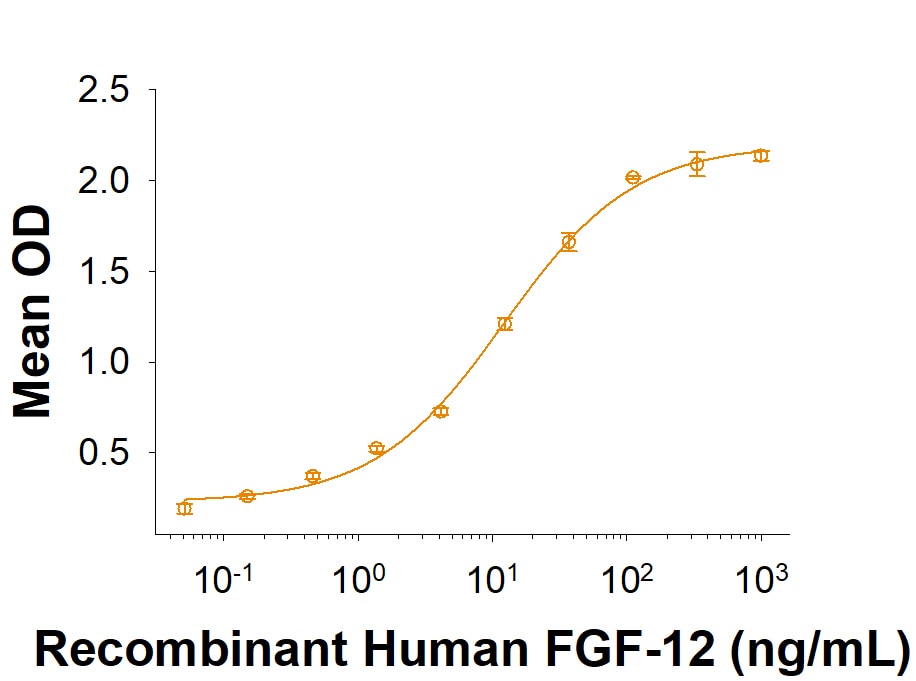 Recombinant Human FGF-12 Protein Binding Activity