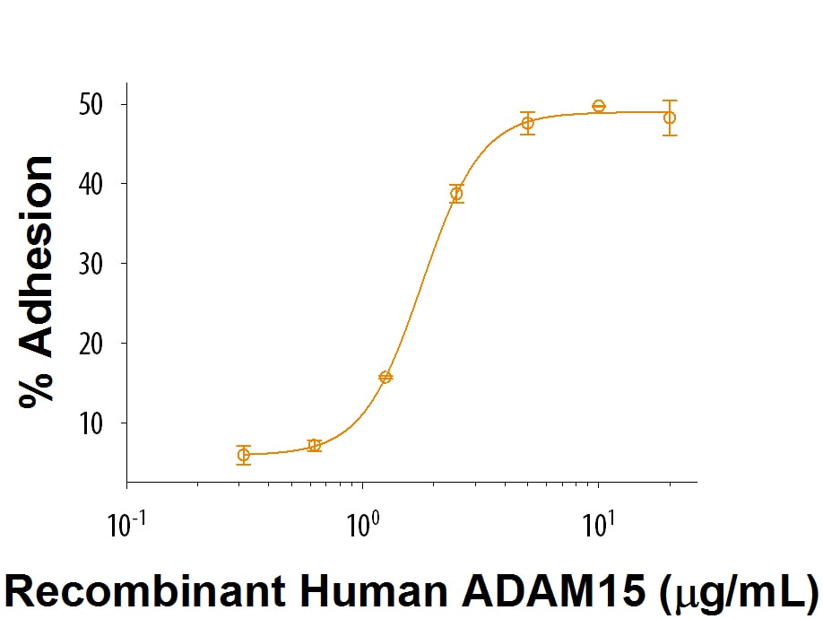 Recombinant Human ADAM15 Protein Bioactivity