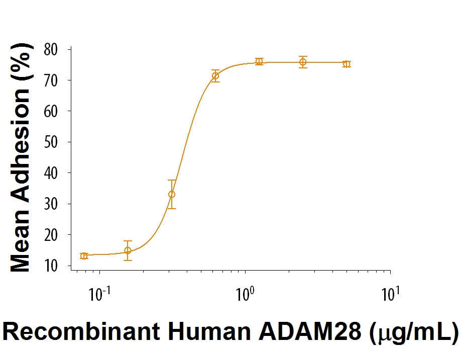 Recombinant Human ADAM28 Protein Bioactivity