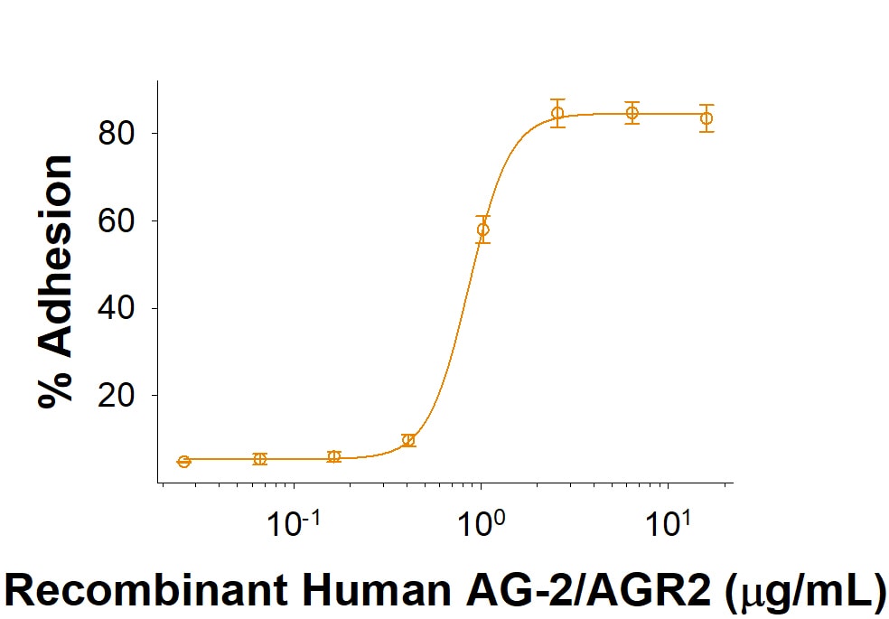 Recombinant Human AG-2/AGR2 His-tag Protein Bioactivity