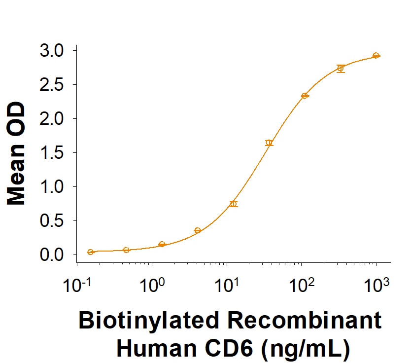 Recombinant Cynomolgus ALCAM/CD166 Fc Chimera Protein Binding Activity