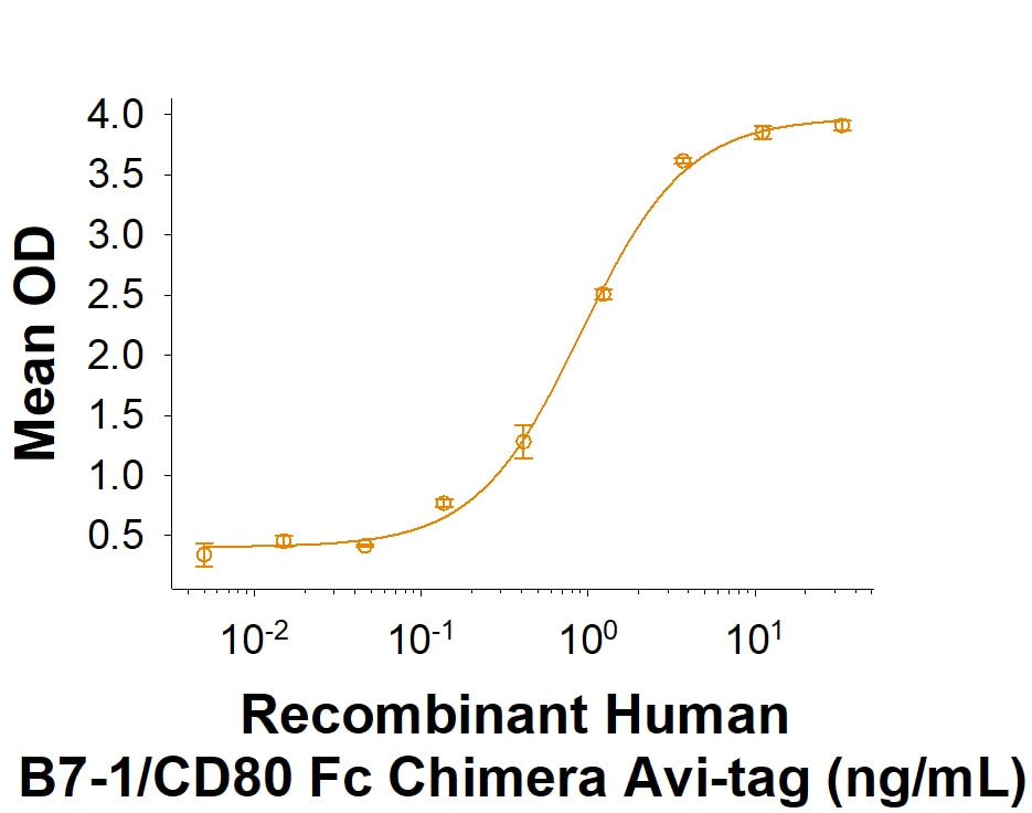 Recombinant Human B7-1/CD80 Fc Chimera Avi-tag Protein Binding Activity