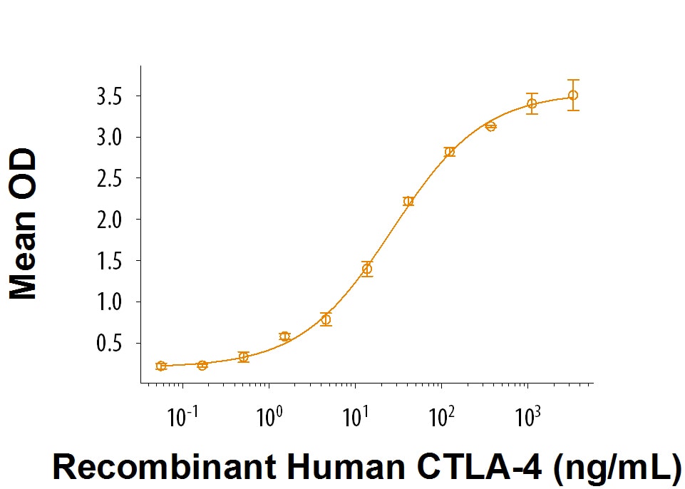 Recombinant Human B7-2/CD86 His Tag Protein Bioactivity