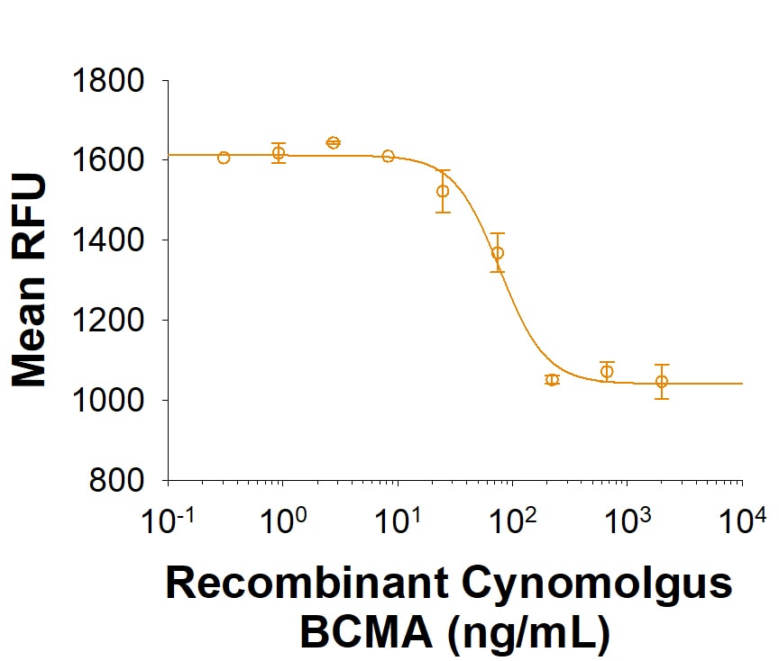 Recombinant Cynomolgus/Rhesus Macaque BCMA Fc Protein Bioactivity