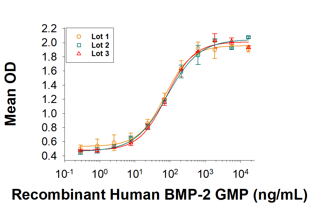 Recombinant Human BMP-2 GMP Protein Bioactivity