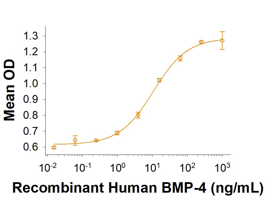 Recombinant Human BMP-4 (E. coli-expressed) Protein Bioactivity