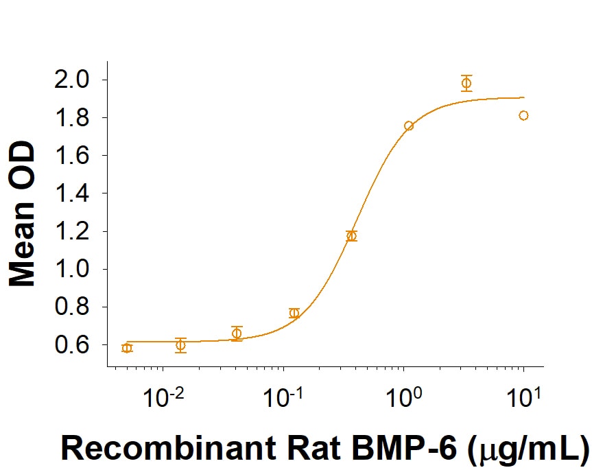 Recombinant Rat BMP-6 Protein Bioactivity
