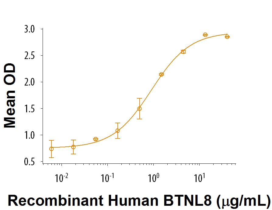 Recombinant Human BTNL8 Fc Chimera Protein Bioactivity