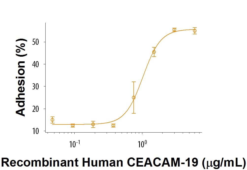 Recombinant Human CEACAM-19 Fc Chimera Protein Bioactivity
