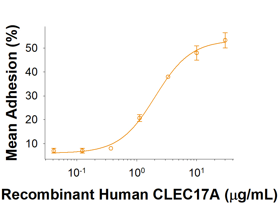 Recombinant Human CLEC17A Fc Chimera Protein Bioactivity