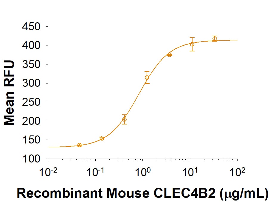 Recombinant Mouse CLEC4B2 Fc Chimera Protein Bioactivity