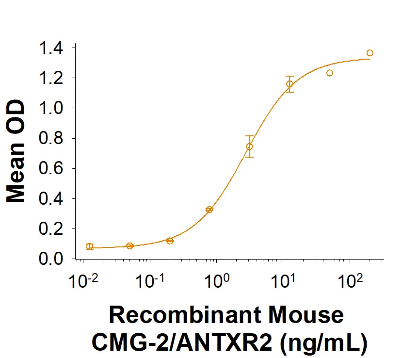 Recombinant Mouse CMG-2/ANTXR2 Fc Chimera Protein Binding Activity