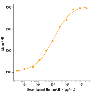 Recombinant Human CNTF Protein Bioactivity