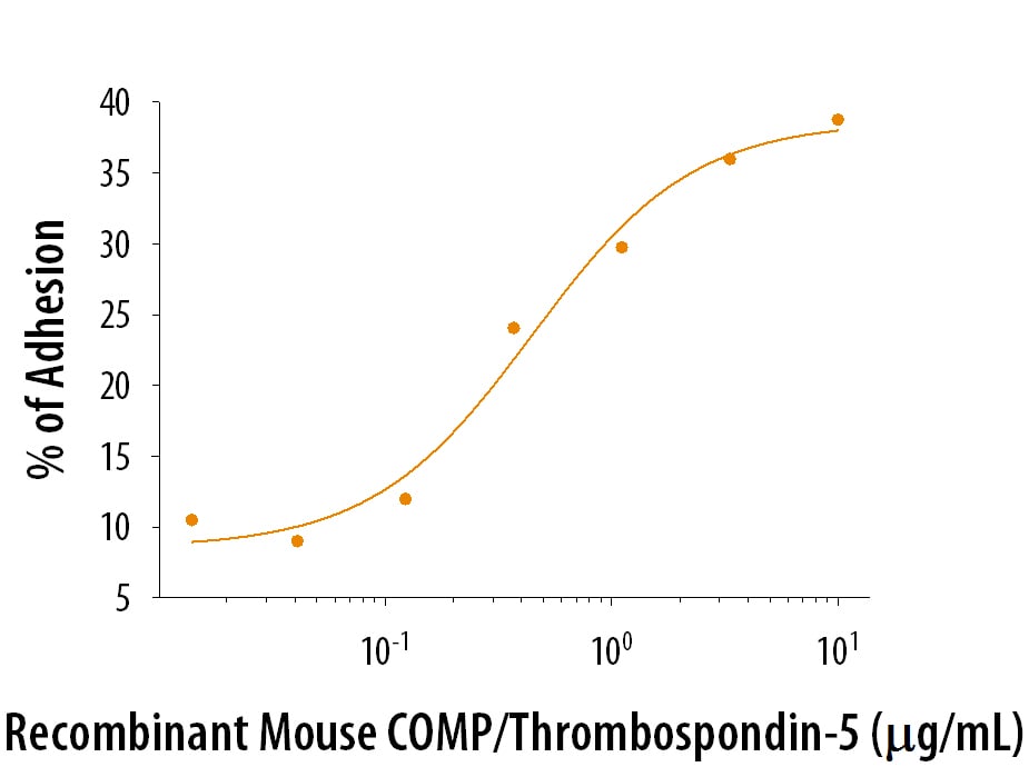 Recombinant Mouse COMP Protein Binding Activity