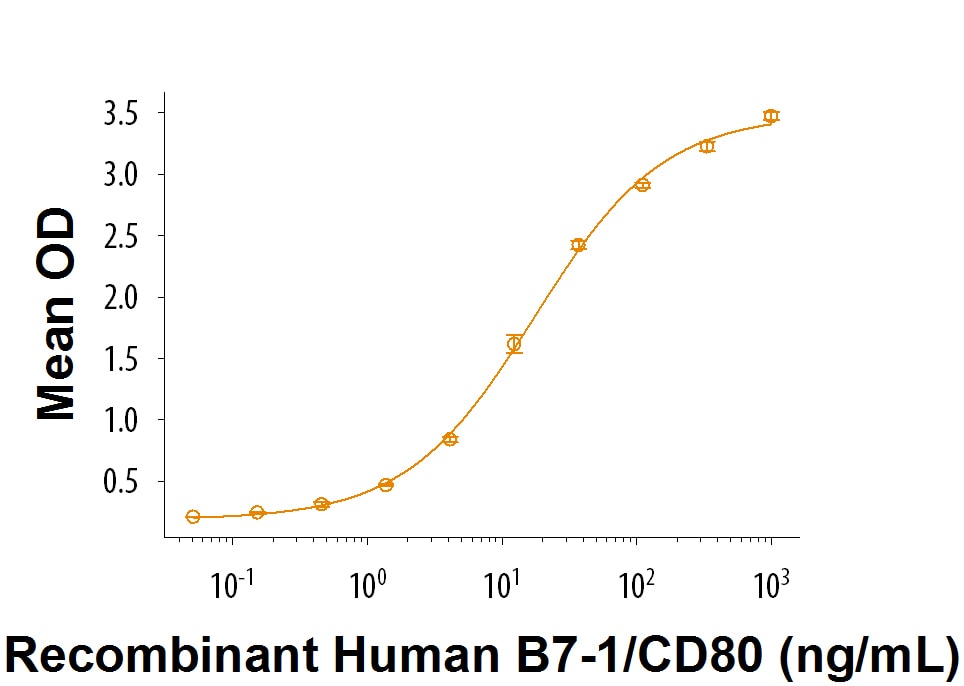 Recombinant Cynomolgus Monkey CTLA-4 Fc Chimera Protein Bioactivity