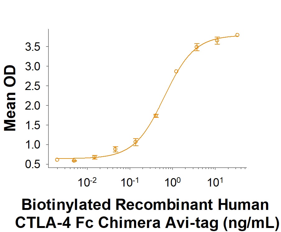 Recombinant Human CTLA-4 Fc Chimera Avi-tag Protein Binding Activity