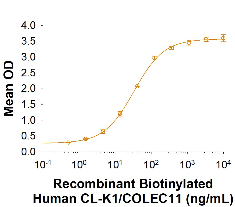 Recombinant Mouse CTRP9/C1qTNF9 His-tag Protein Binding Activity