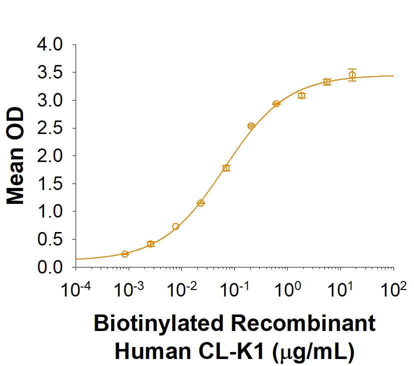 Recombinant Human CTRP9/C1qTNF9 Protein Binding Activity