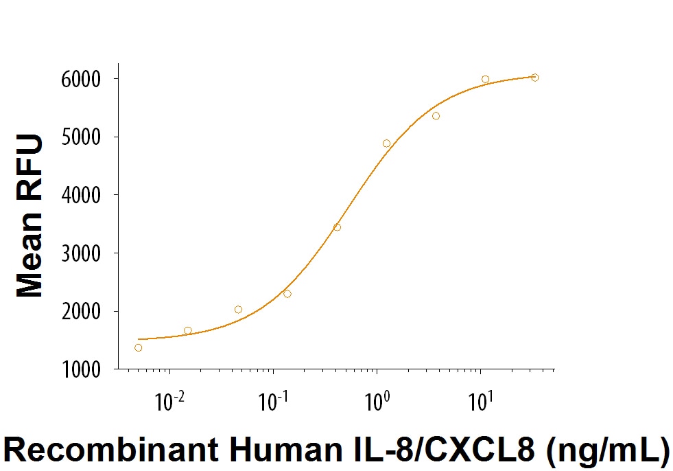 Recombinant Human IL-8/CXCL8 Protein Bioactivity