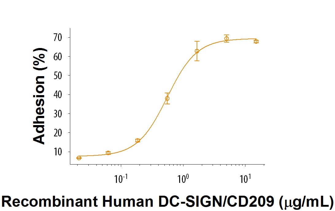 Recombinant Human DC-SIGN/CD209 Protein Bioactivity