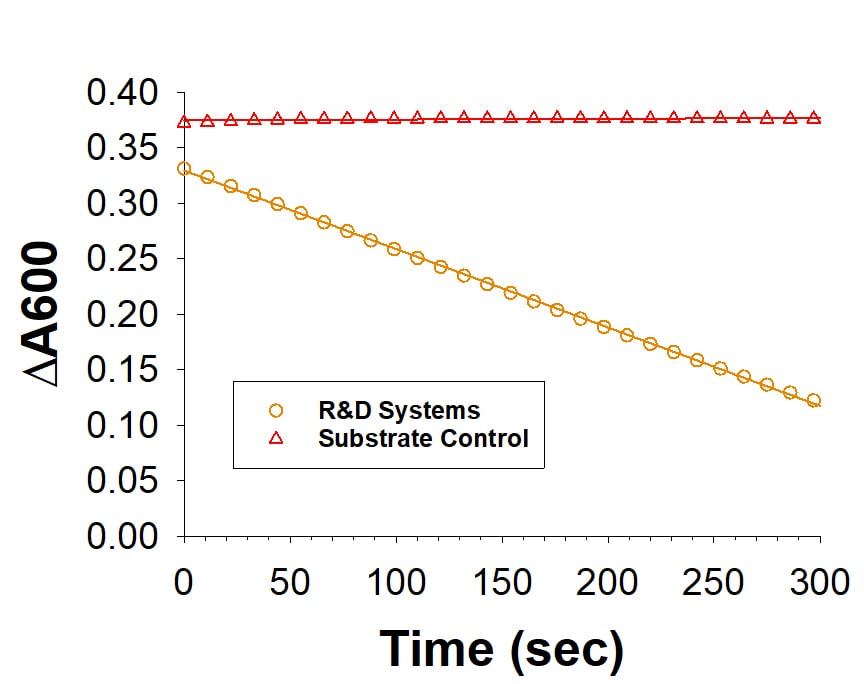 Recombinant Human Dihydroorotate Dehydrogenase Protein Binding Activity