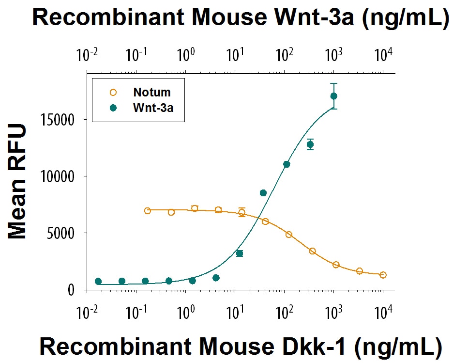 Recombinant Mouse Dkk-1 (Histidine-tagged) Protein Bioactivity