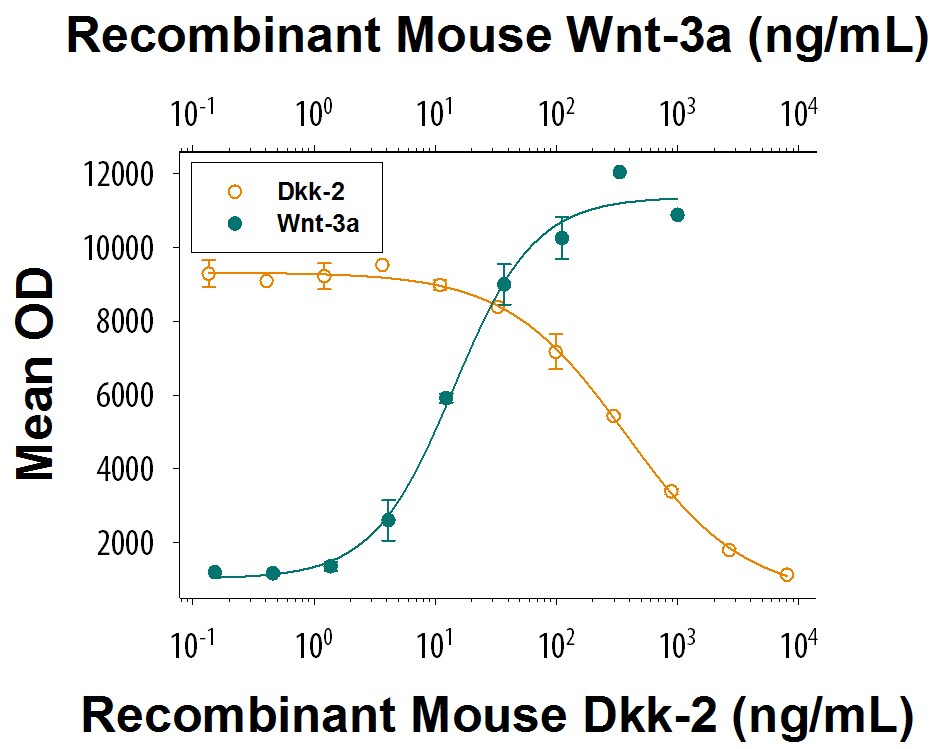 Recombinant Mouse Dkk-2 Protein Bioactivity