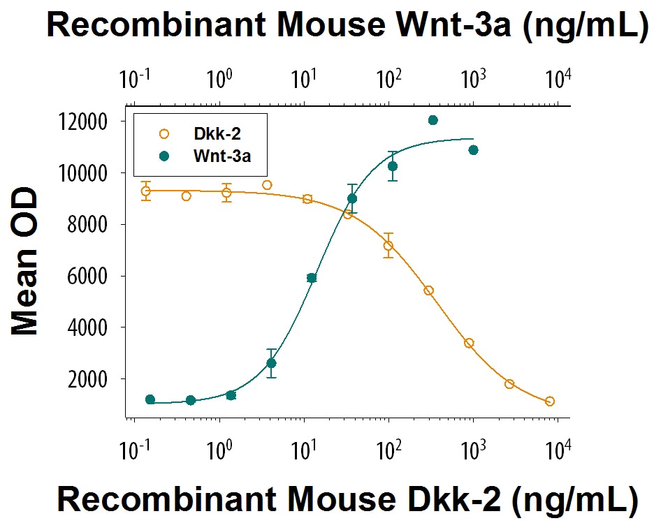 Recombinant Mouse Dkk-2 Protein Bioactivity