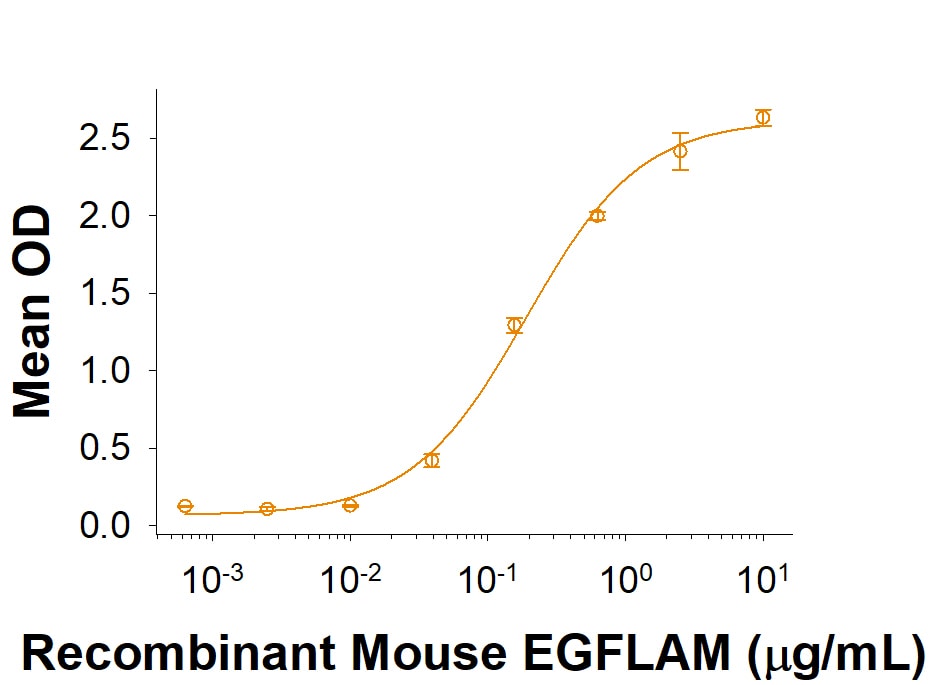 Recombinant Mouse EGFLAM Flag-tag Protein Binding Activity