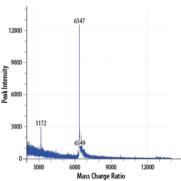 Recombinant Human EGF GMP Protein Mass Spectrometry