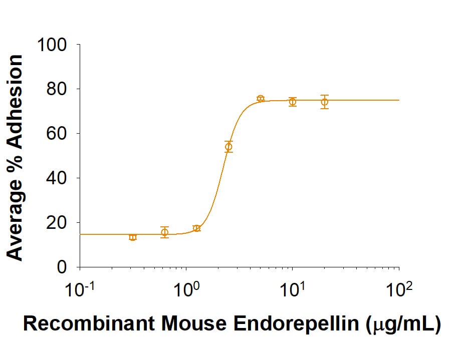 Recombinant Mouse Endorepellin His-tag Protein Bioactivity