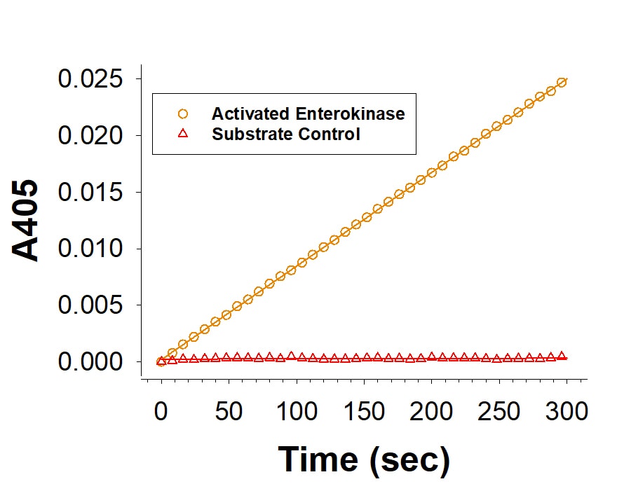 Recombinant Human Enteropeptidase/Enterokinase Protein Enzyme Activity