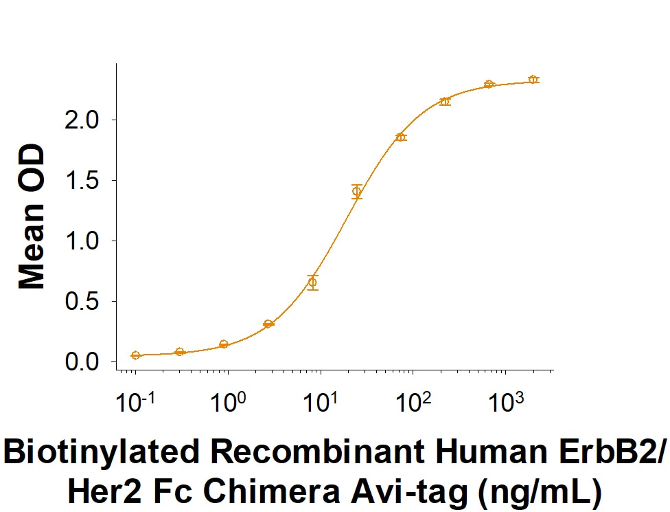 Recombinant Human ErbB2/Her2 Fc Chimera Avi-tag Protein Binding Activity