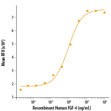 Recombinant Human FGF-4 Protein Bioactivity