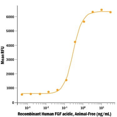 Recombinant Human FGF acidic/FGF1, Animal-Free Protein Bioactivity