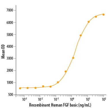 Recombinant Human FGF basic/FGF2/bFGF (157 aa) Protein Bioactivity
