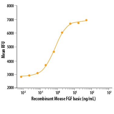 Recombinant Mouse FGF basic/FGF2/bFGF Protein Bioactivity